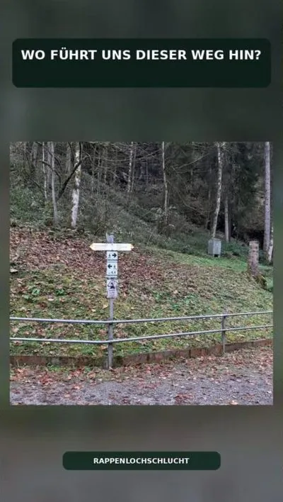 Reel von myRelaxs: Wo führt uns dieser Weg hin?